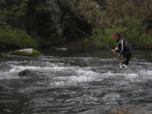 ゼロ釣法2019 Daiwaテスター山口さんの動画 郡上長良の亀尾島川 清流長良川水系 郡上で楽しむ 渓流 鮎釣り
