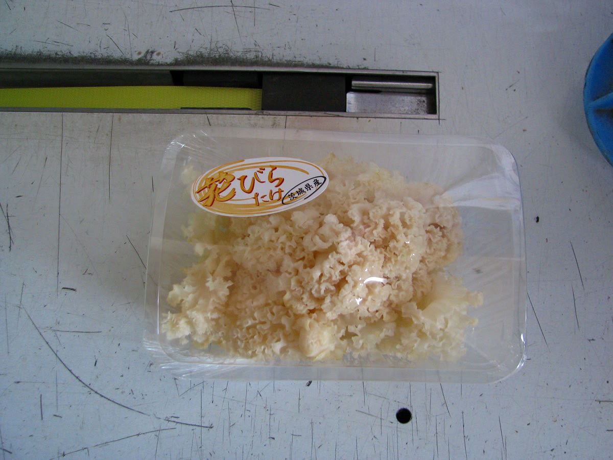 クリックで大きくなります。