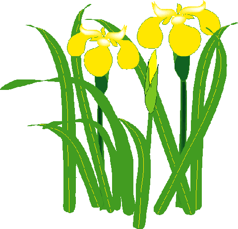 卓球審判の言葉の謎 ジュース レット ツーサーブ Yosigamo Sakura の いけ花ガーデニング 緑 風 陽 と 花イラスト
