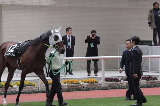 レッドオーラム