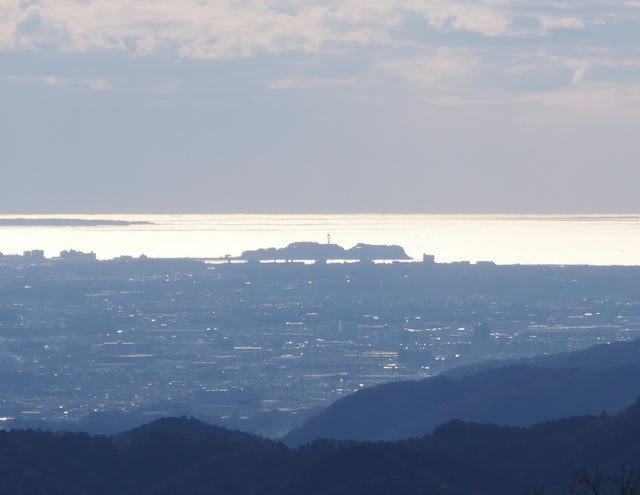 散歩道 29 高尾山頂からの江の島 多摩ニュータウン植物記ｐａｒｔ５