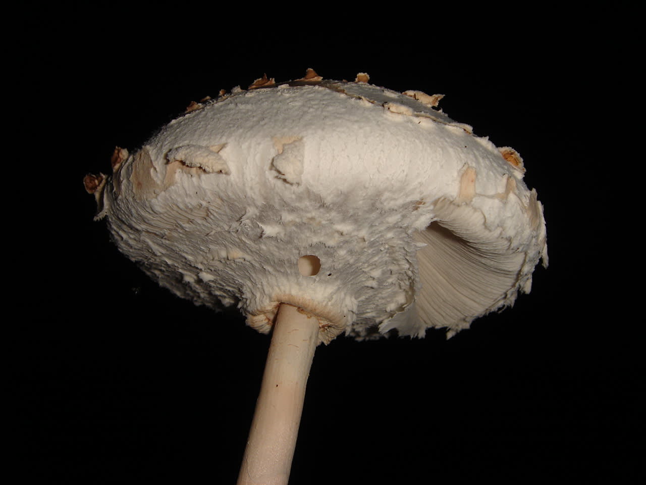 2008/10/7/18:59