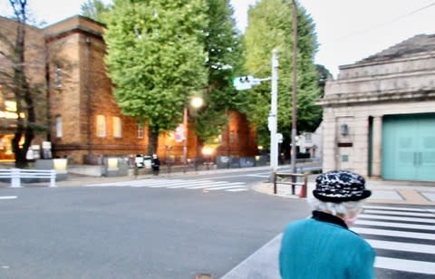 夜の上野公園とパンダ橋を歩く 夫婦で楽しむナチュラル スロー ライフ 夜の上野公園とパンダ橋を歩く 夫婦で楽しむナチュラル スロー ライフ