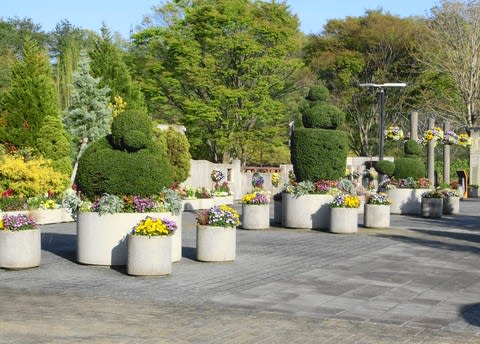 宇治市植物公園 折々の花だより