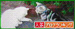 人気ブログランキングへ