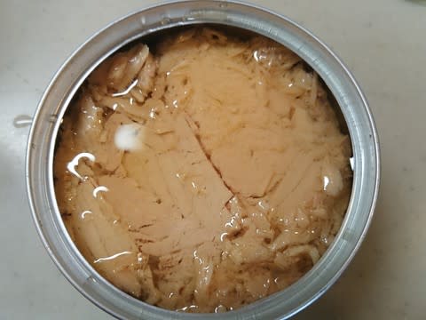 焼きシーチキン 失敗 蜘蛛の糸