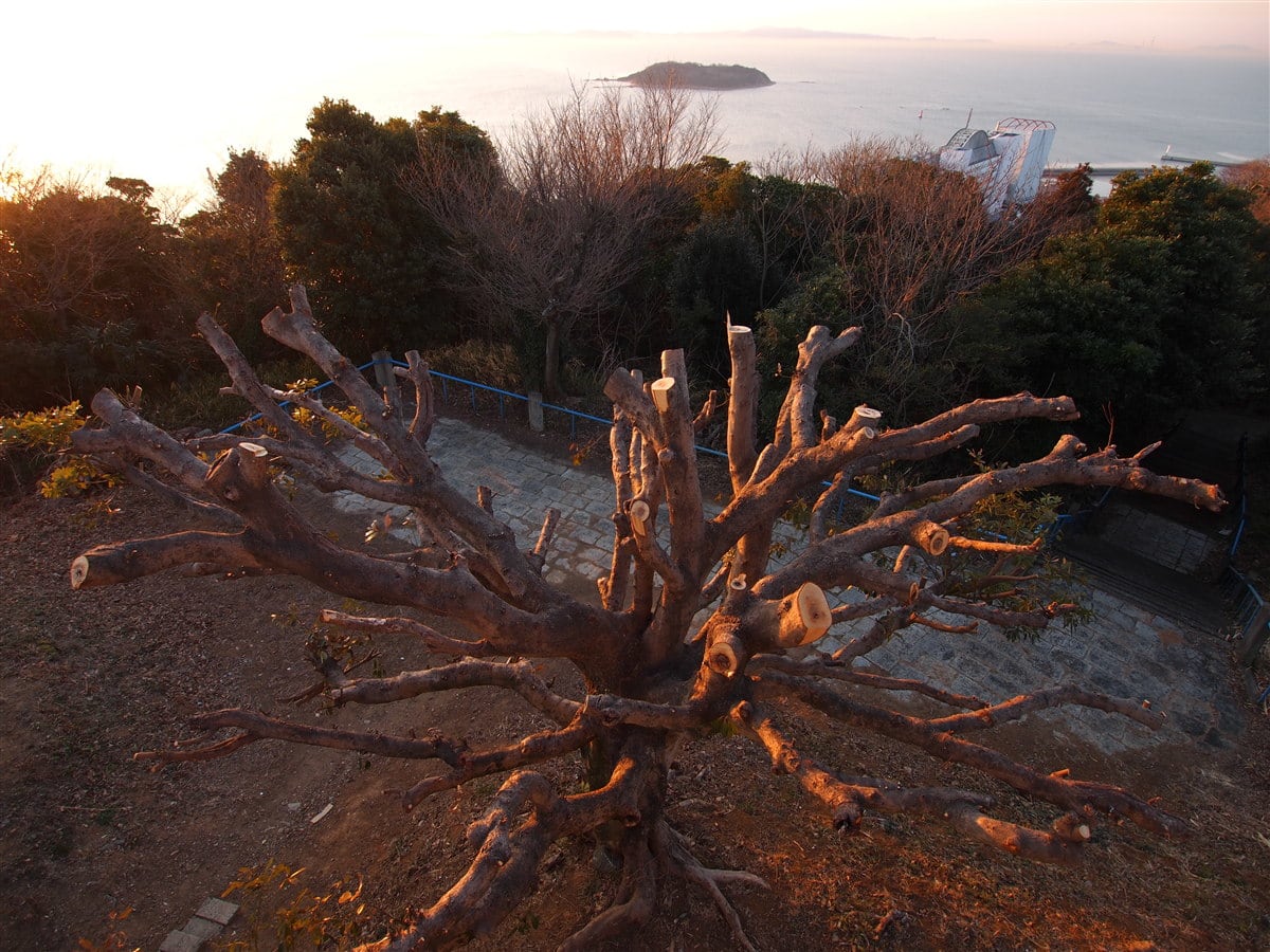 吉良・宮崎展望台からの日の出の画像