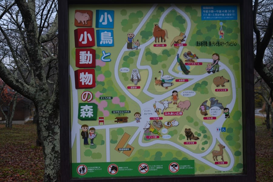 松本 市 アルプス 公園