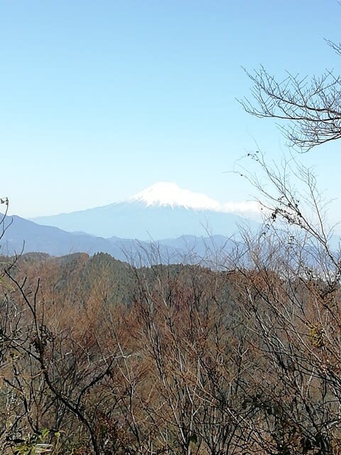f:id:ututani365tan:20200118054919j:image