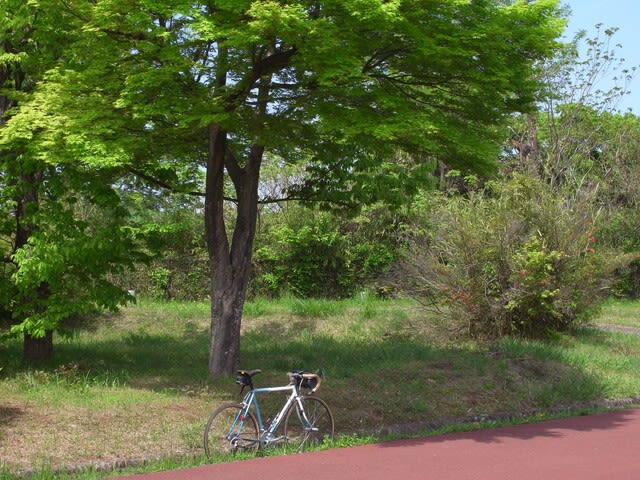 多摩湖　狭山湖　ロードバイク