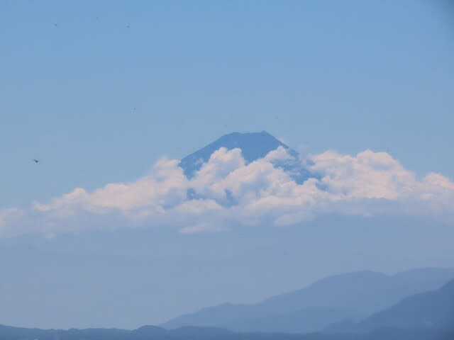 高ボッチ高原・鉢伏山で見た富士山　ふじさん　フジサン