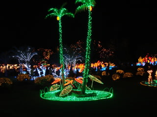 東南植物楽園のクリスマスイルミネーションを楽しむ 知花子ども会
