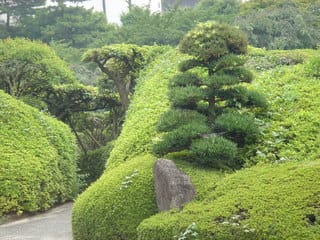 増上寺の境内に素敵な庭園ですね