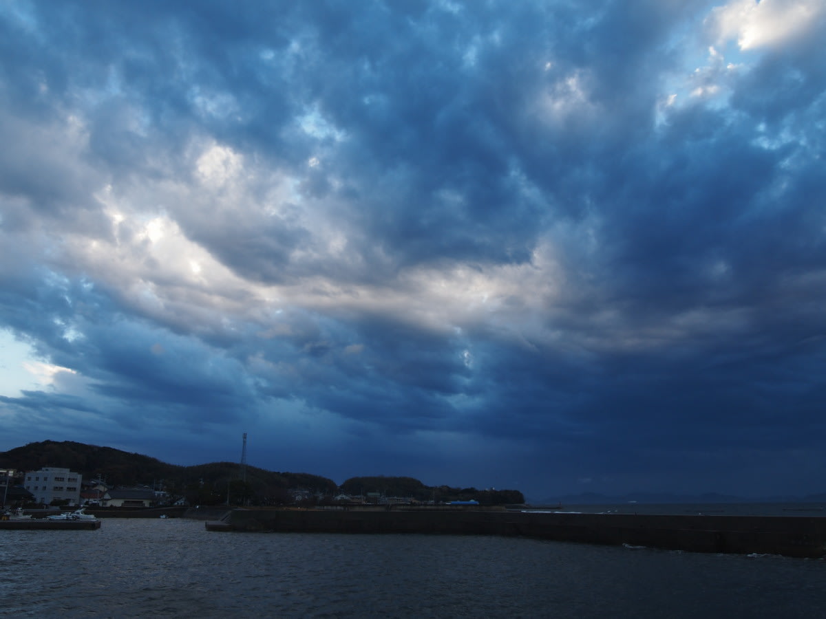 雨上がりの朝の画像