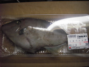富山産ウマヅラハギ１匹１９９円也 激安スーパー鮮魚購入勝負 １１３５ 芳賀ちゃんのオサカナ釣題 酒 肴 料理 釣り