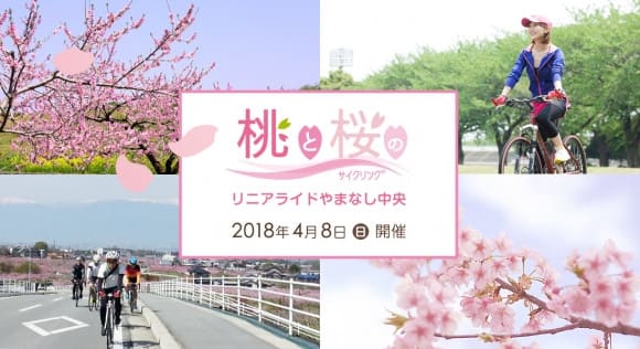 桃と桜のサイクリング