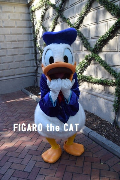 グリーティング のブログ記事一覧 Figaro The Cat