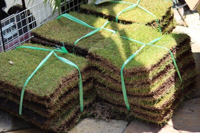 16892円 最大75%OFFクーポン YNFNGXU 緑の人工草の敷物草 現実的な偽の草の豪華な芝の合成芝の厚い芝生のペット芝 屋外 屋外用 Size:25mm grass height- 2m×5m