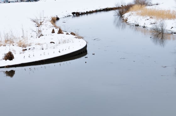 DSC_9763_河川増水.jpg