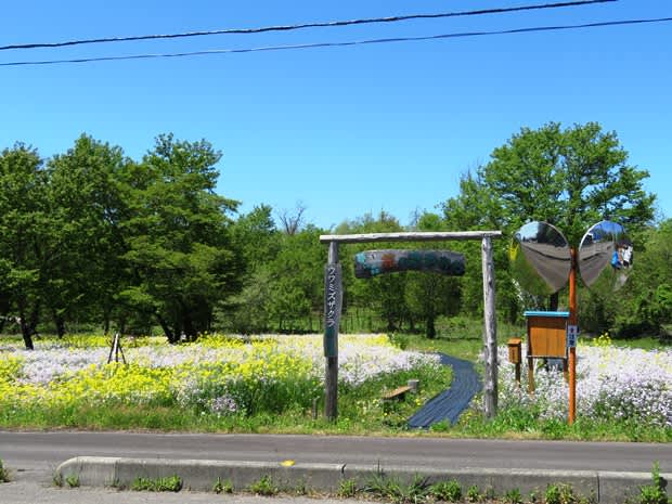 夢の森 花の散歩道 - JH7UBCブログ