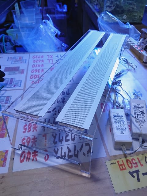 ADA アクアスカイ G 602 水槽 ADA アクアスカイ G 602 水槽