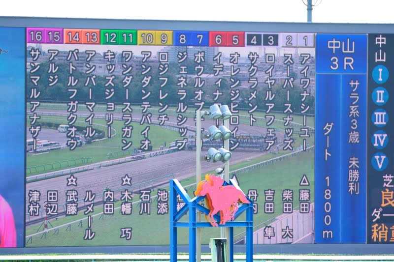 中山競馬場 アイワナシーユー号観戦記 かながわ いーとこ