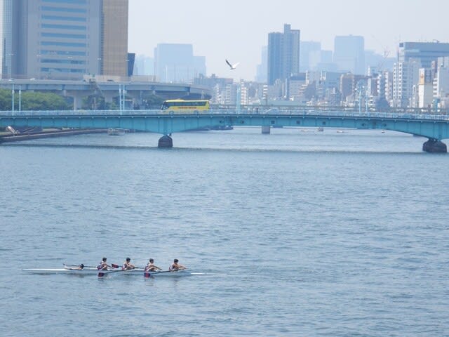 隅田川とボート