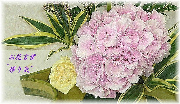 初秋にお似合いソケイのお生花 佐和子 氏 みゆき生け花教室 Miyuki Flower Classes