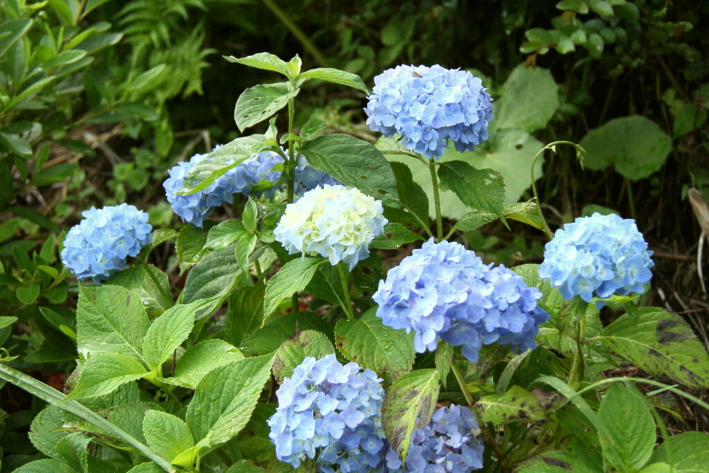 今日は停滞日の画像