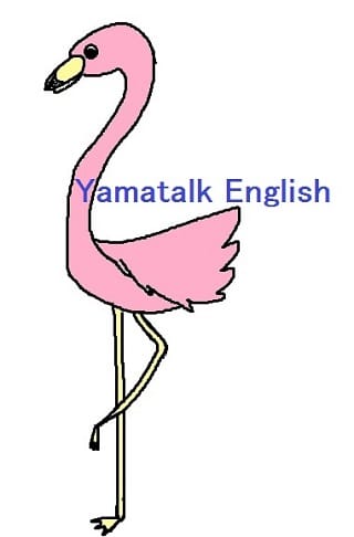 沿岸で見かける鳥 カモメ フラミンゴ ペリカン の英語 東京オンライン英語教室のyamatalk English でジョリーフォニックスも習えます