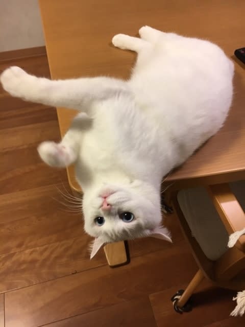 落っこちる