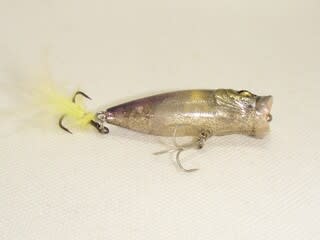 釣りバカはただのバカ 11ページ目 釣りバカはただのバカ 11ページ目