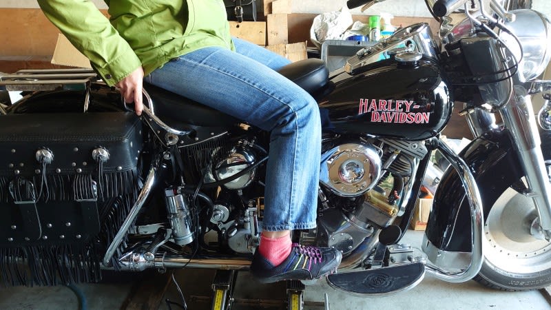 高評価なギフト Harley Davidson バディシートタンデムステップ