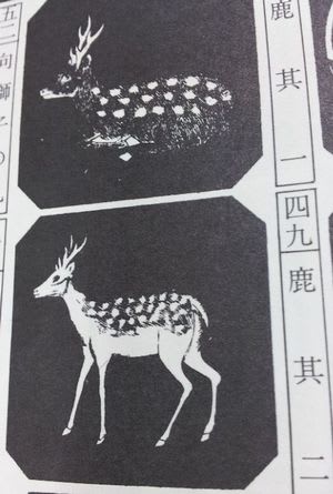 20120707_135352.jpg