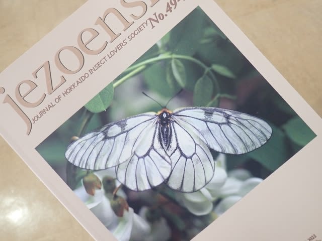 北海道昆虫同行会会誌 jezoensis 49 (2023) 発行。 - 北海道昆虫