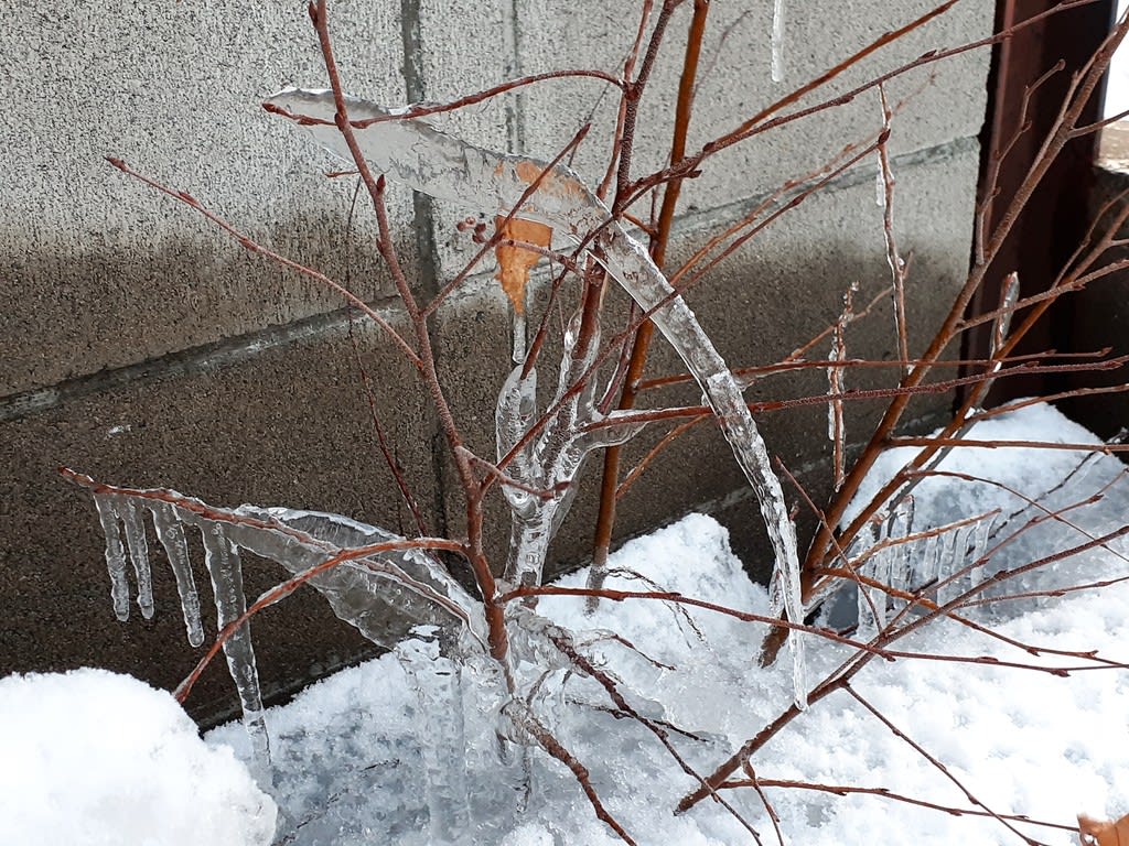 札幌 街の一コマ 不思議なつらら コツコツ歩き隊