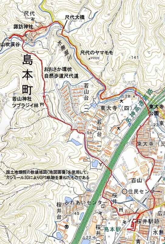 島本町・若山神社のツブラジイと尺代のヤマモモ - 箕面里山のブログ part2