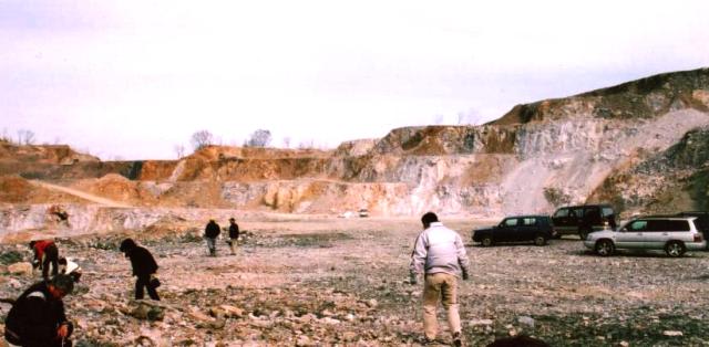 鉱山のズリの上面 ~ 散乱する方解石の美・巨晶を採集 Kunimiyama_mine02