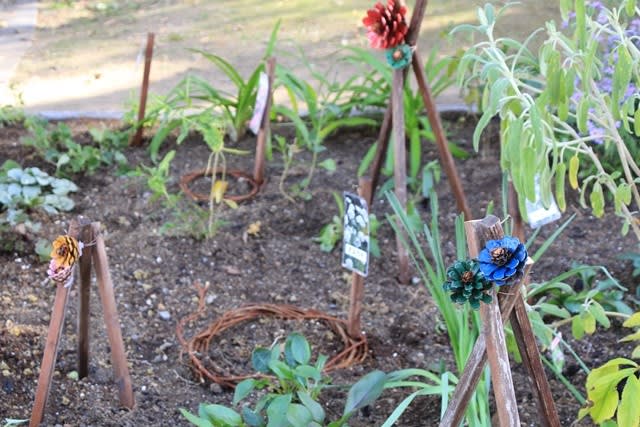 ローコストでローメンテナンスな花壇造りの 花苗の植え込み 小さな庭の小さな幸せ チャッピーのバラ庭より
