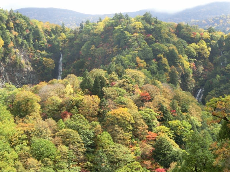 みちのくの秋14 ４a 西吾妻スカイバレーの紅葉 みちのくの風の旅人 愛と義の街 上杉の城下町 から情報を発信中