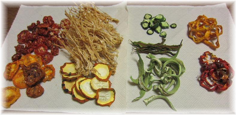 乾燥野菜 2011年8月13日