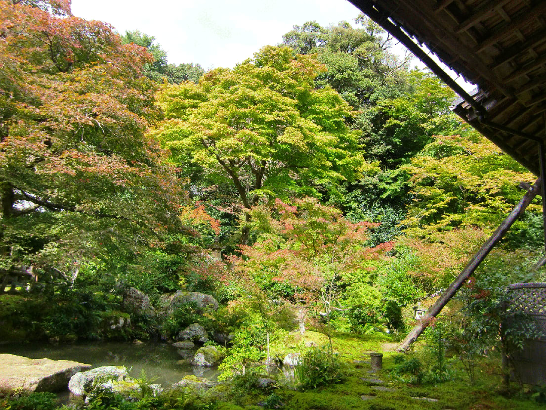 ちょっと早い秋の京都～☆③☆の画像