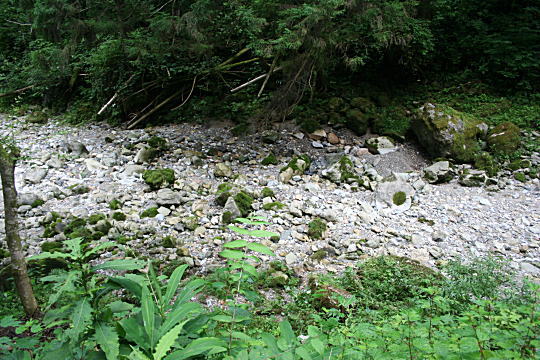 円原の伏流水