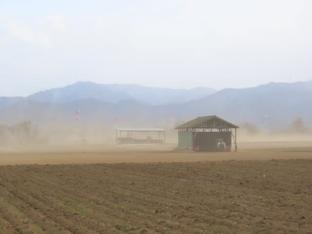 土埃(つちぼこり)舞う