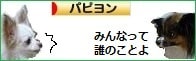 にほんブログ村 犬ブログ パピヨンへ