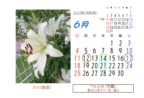 6月の花暦 Goo3