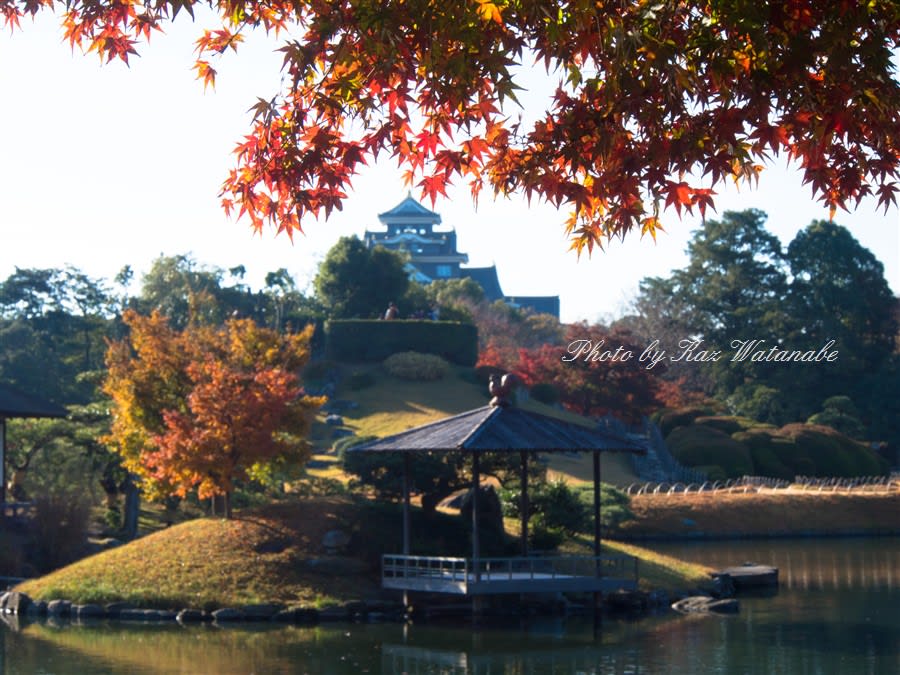 紅葉情報 岡山後楽園11月25日 Take It Easy パパールの雑記帳 別館 紅葉情報 岡山後楽園11月25日 Take It Easy パパールの雑記帳 別館