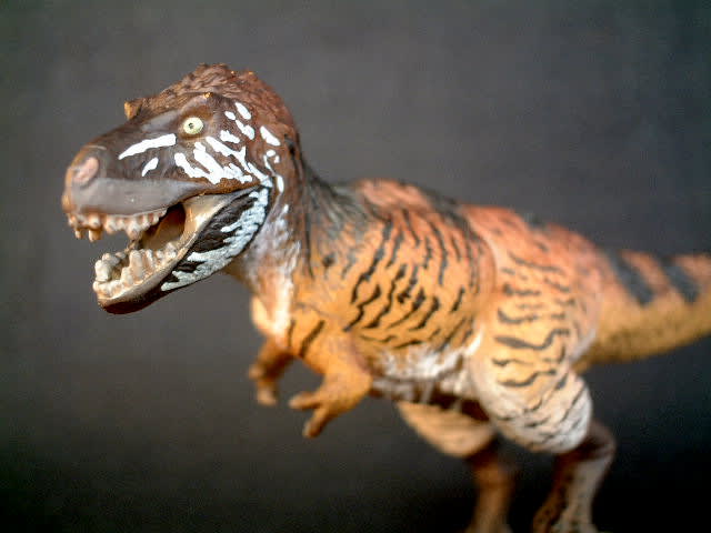 人気SALE豊富な ヤフオク! ♯Joi16OzカプセルQ恐竜発掘記ティラノサウルスレ...