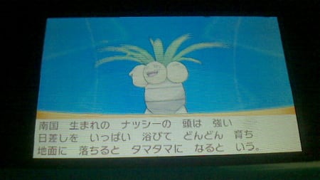 ポケモン関連 のブログ記事一覧 ページ目 ひびレビ