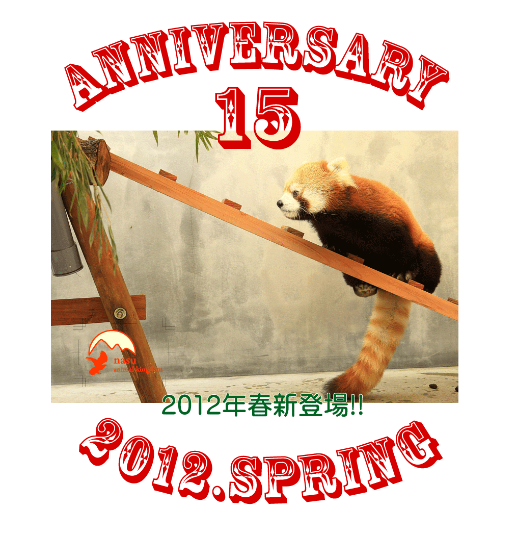 12年2月のブログ記事一覧 那須どうぶつ王国 Official Blog